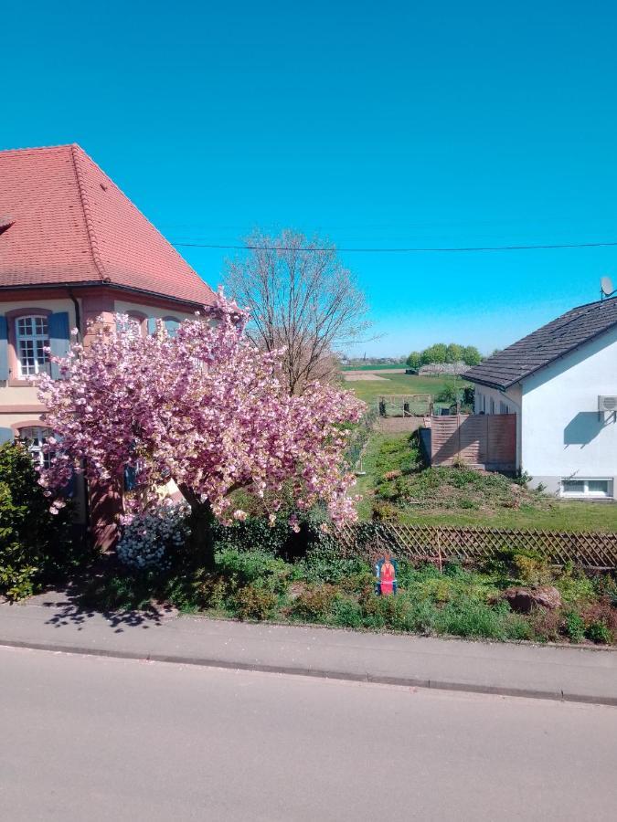 Gaestehaus Brunhilde Wittenweier ภายนอก รูปภาพ