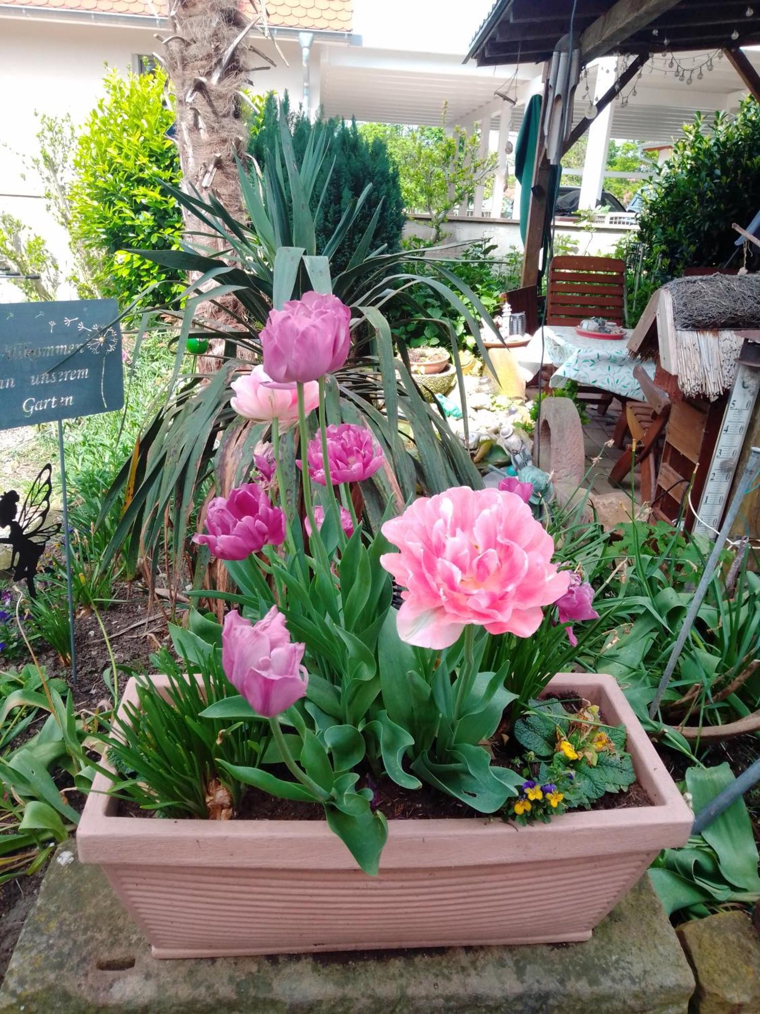 Gaestehaus Brunhilde Wittenweier ภายนอก รูปภาพ